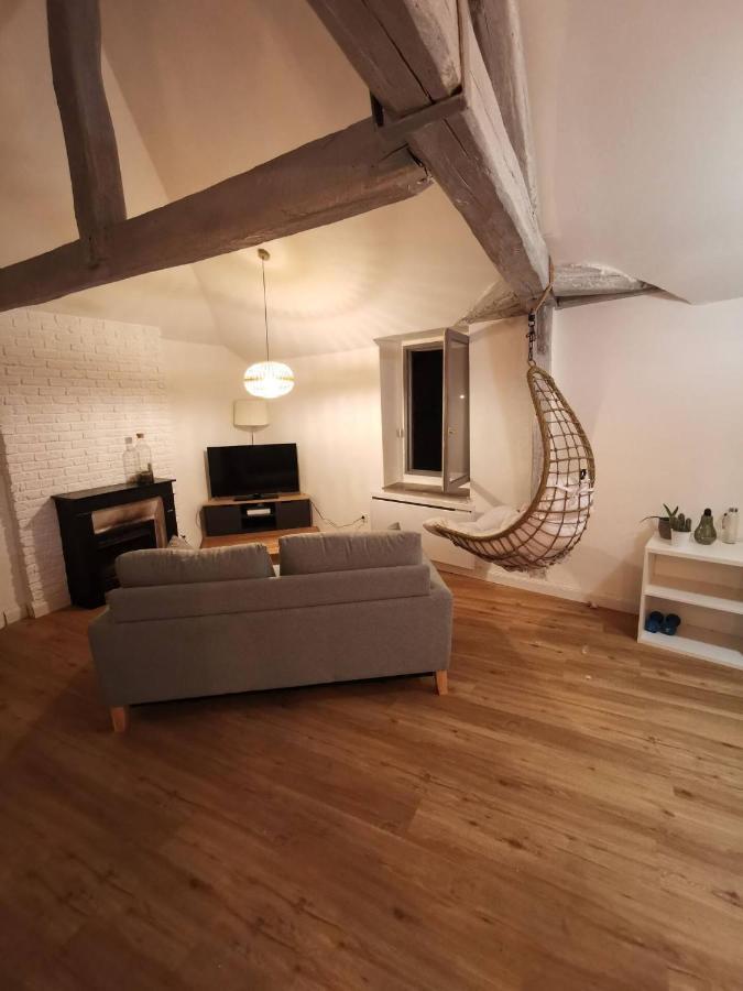 Le Loft Jeanne Apartment Orléans Exterior foto